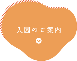 入園のご案内