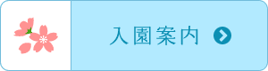 入園案愛