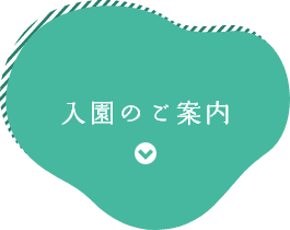 入園のご案内